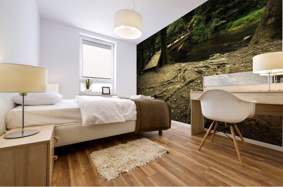 Wild Creek Cove Natural Surroundings Mural print