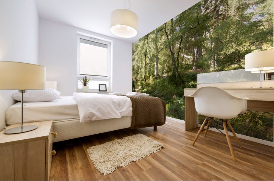 Scottish Highlands Summer Forest Scene Mural print
