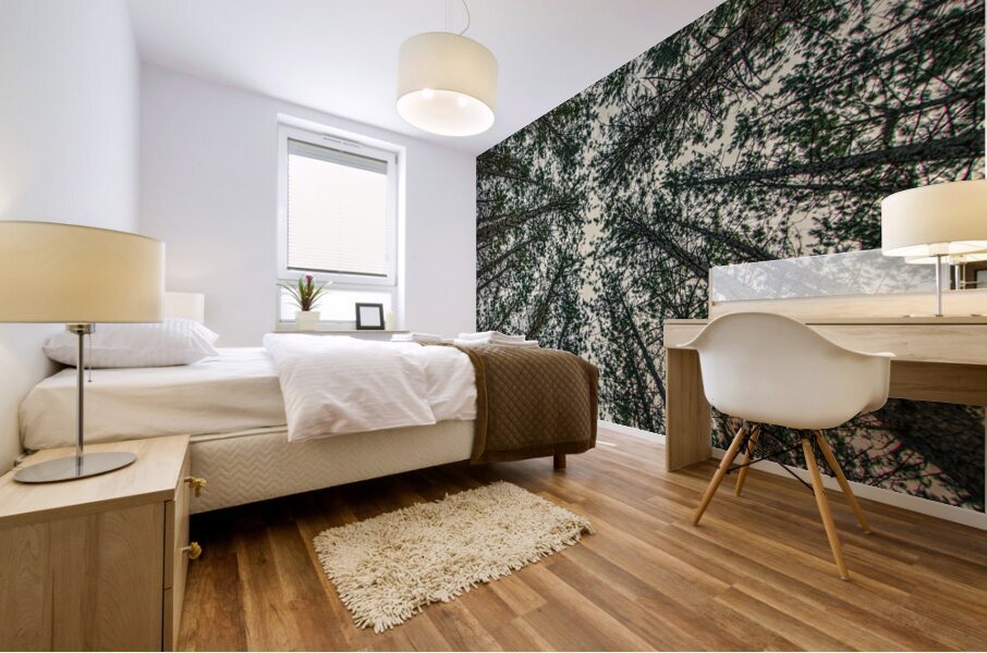 02 Look Up Mural print