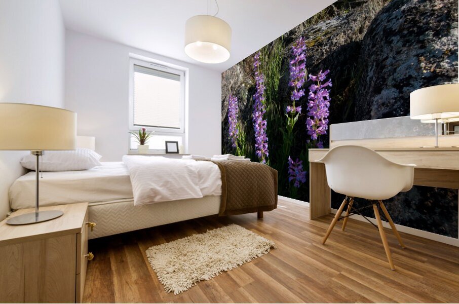 Alberta Beaardtongue horizontal view  Mural print