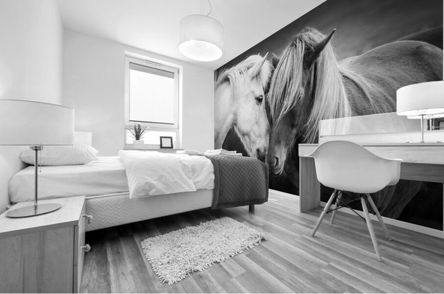 Icelandic horses black and white Mural print