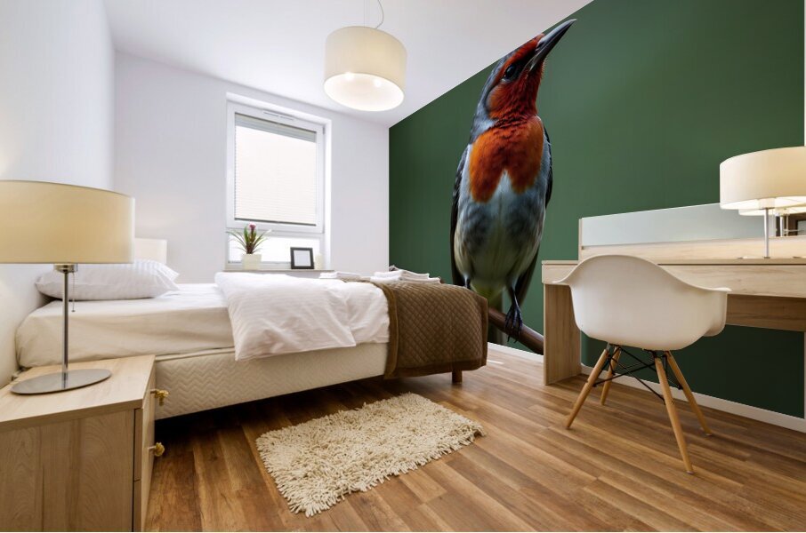 Vibrant Bird with Striking Red Chest Mural print