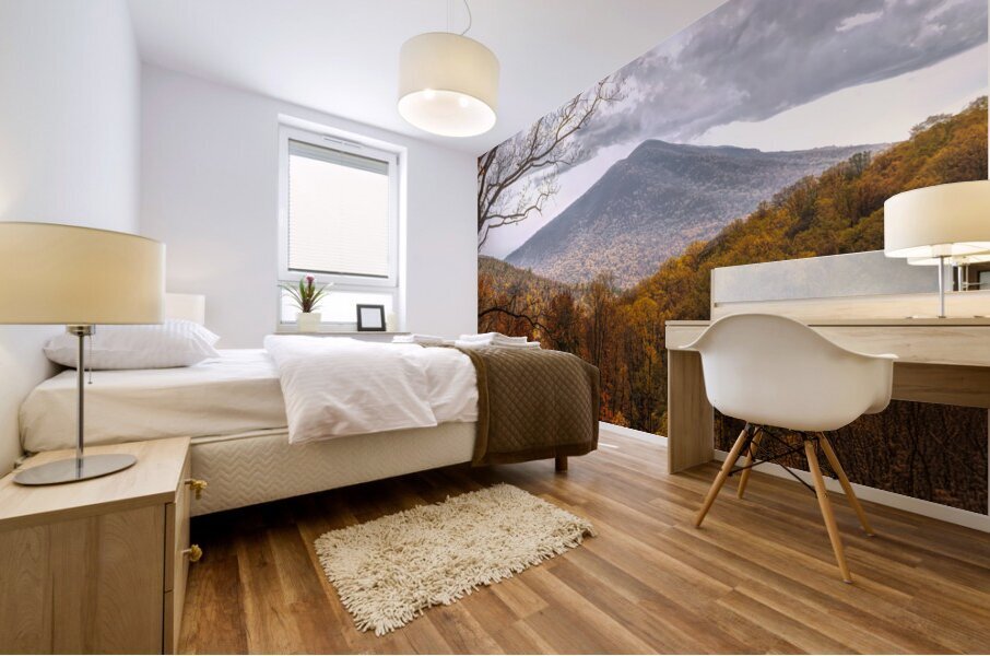 Golden Colors of Autumn Mural print