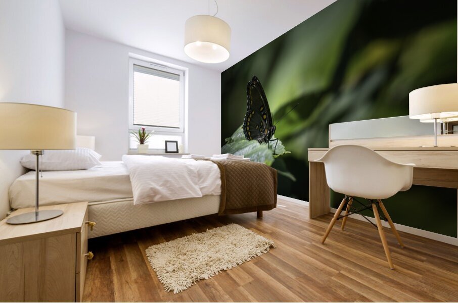 Red Spotted Purple Admiral Butterfly Mural print