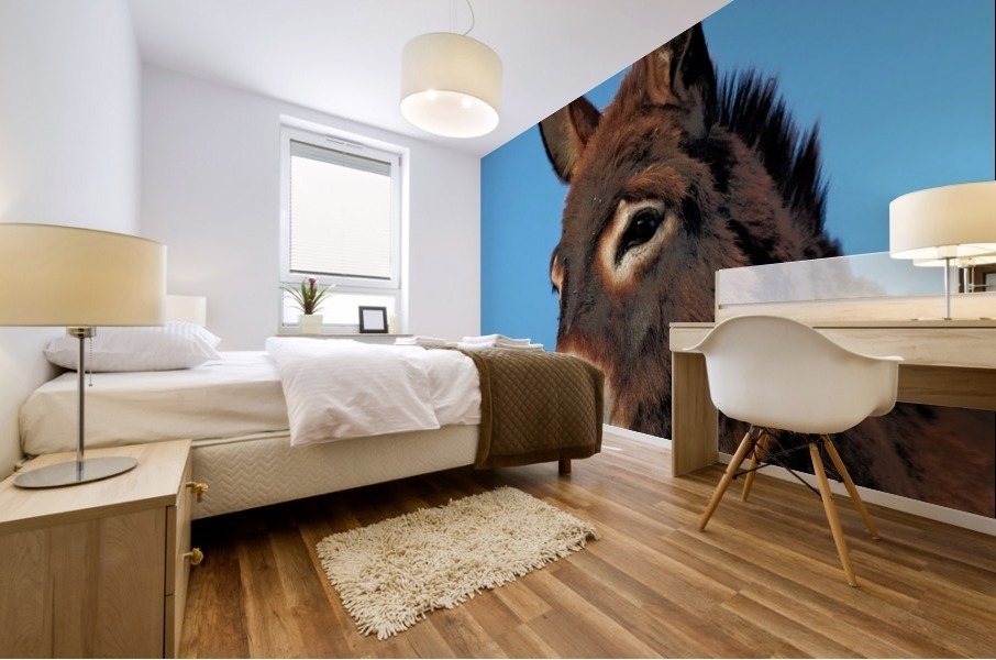 Handsome donkey  Mural print