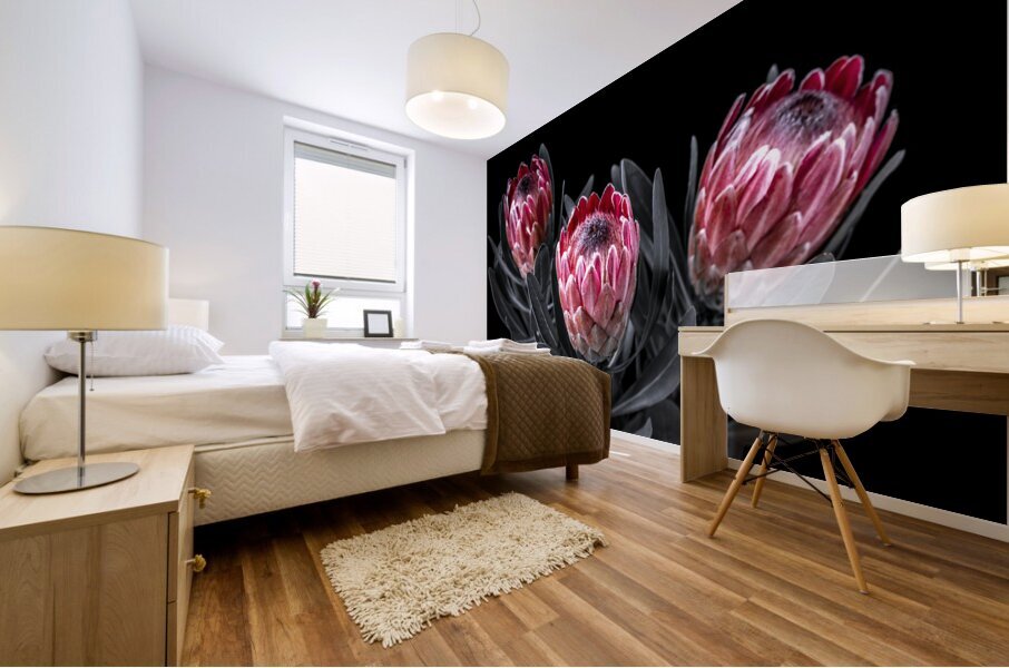 Protea Flora Mural print