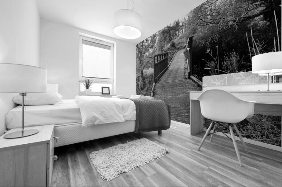 A Frosty Nature Walk Through The Scottish Highlands  Mural print