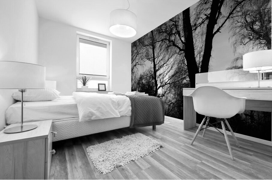  Winters Light and Shadow in the Scottish Highlands Mural print