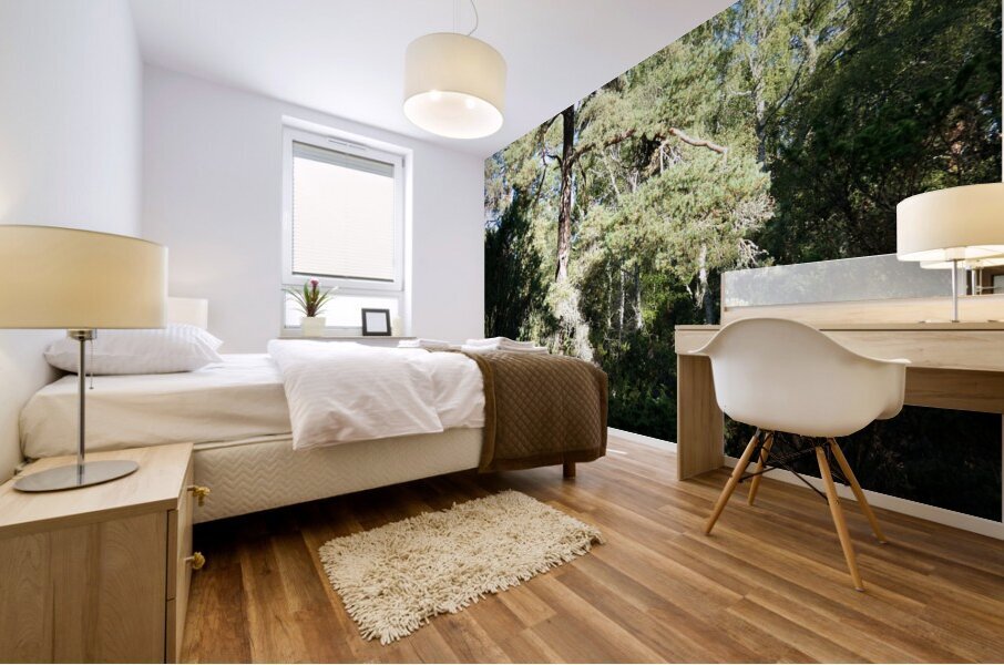 Forests Light and Shadow Play in the Scottish Highlands  Mural print