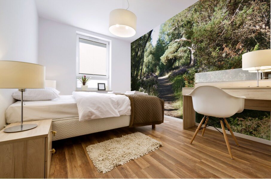 Natures Adventure Path in the Scottish Highlands Mural print