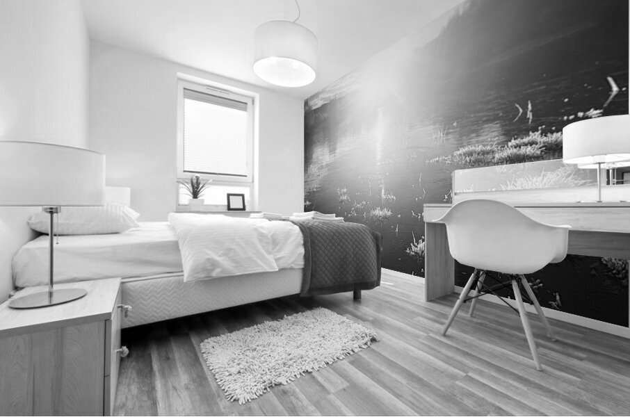 Scottish Highlands Winter Sun Mural print