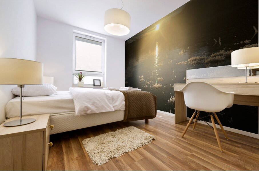 Winters Sun in the Scottish Highlands  Mural print