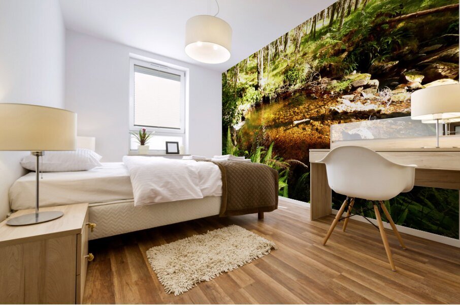 A Secret Summers Retreat in the Scottish Highland Mural print