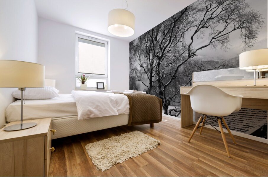 Everyday Lifes Moments- Deep Winter in the Scottish Highlands in black an Mural print