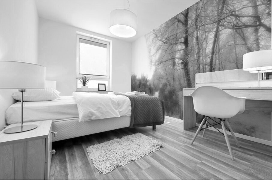 Winter Snow in the Scottish Highlands  Mural print