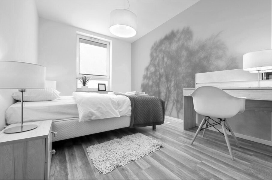 Birch Tree Winter White Out in the Scottish Highl Mural print