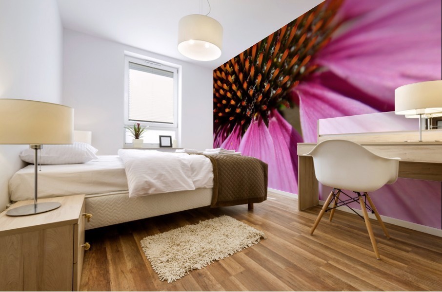 Purple Coneflower Mural print