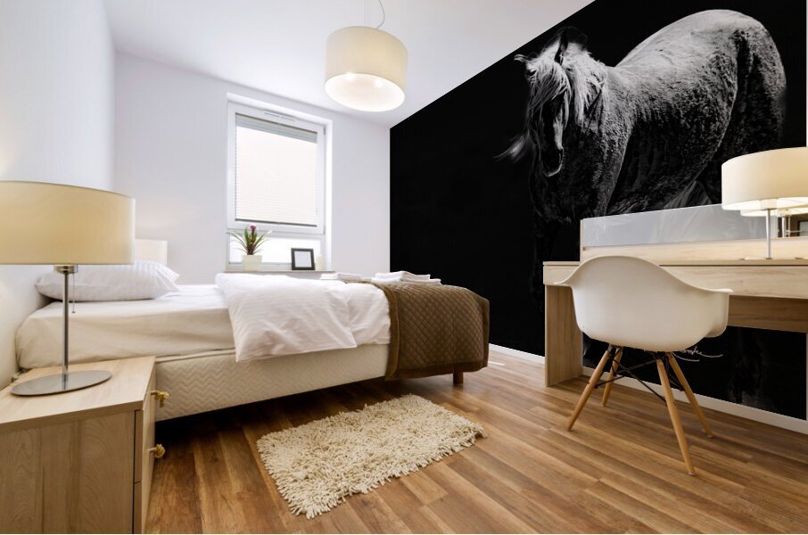 BZ9 5490 Enhanced NR 2 Mural print