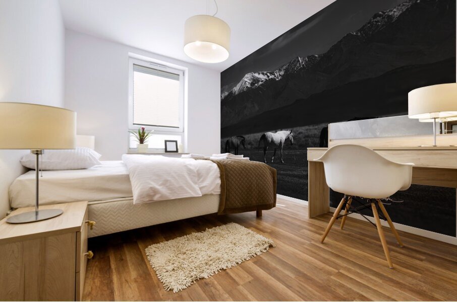 BZ9 6193 Enhanced NR Mural print