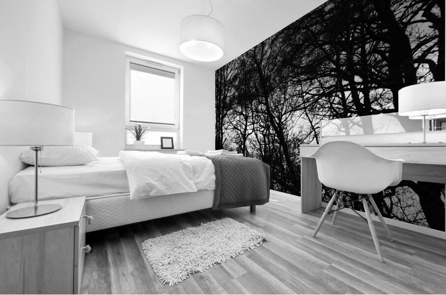 Winters Black and White Trees in the Scottish Highlands Mural print