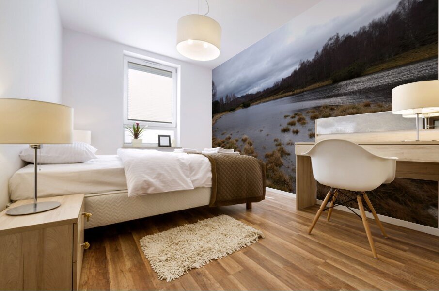 Winters Moody Scottish Highlands  Mural print