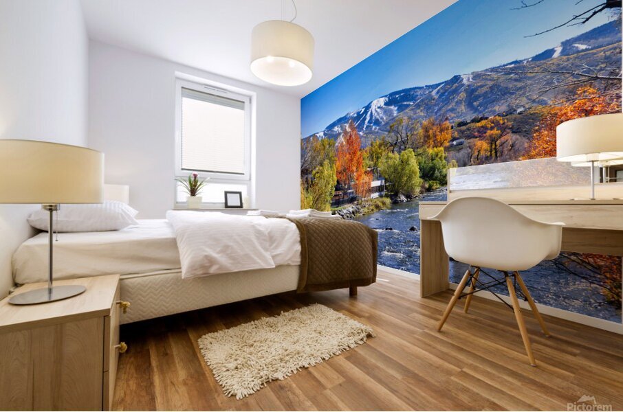 Yampa Flows_Holt_RezN888 Mural print