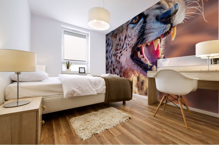 Angry cheetah portrait Namibia                           Mural print