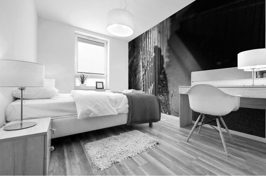 Everyday Lifes Moments -Scottish Highlands Night Shadows  Mural print