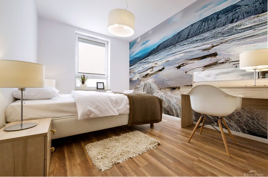 Thermal Flow_Holt_RezN888 Mural print
