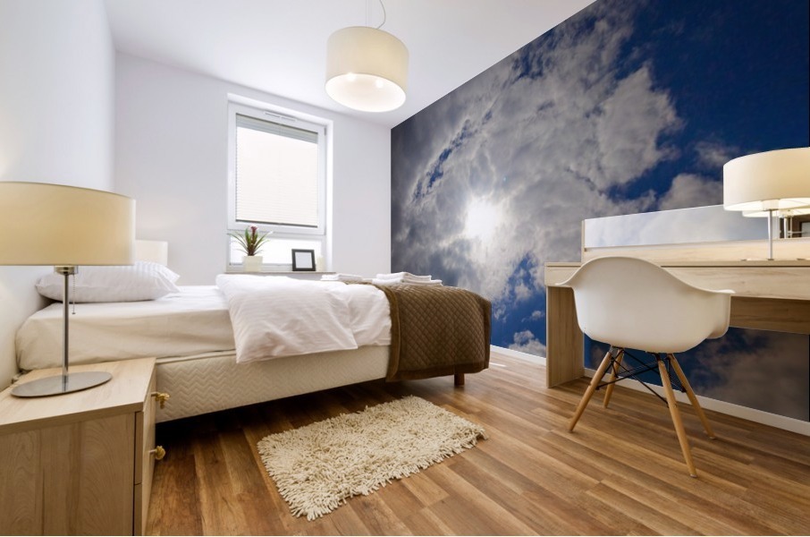 Hidden Sunshine Mural print