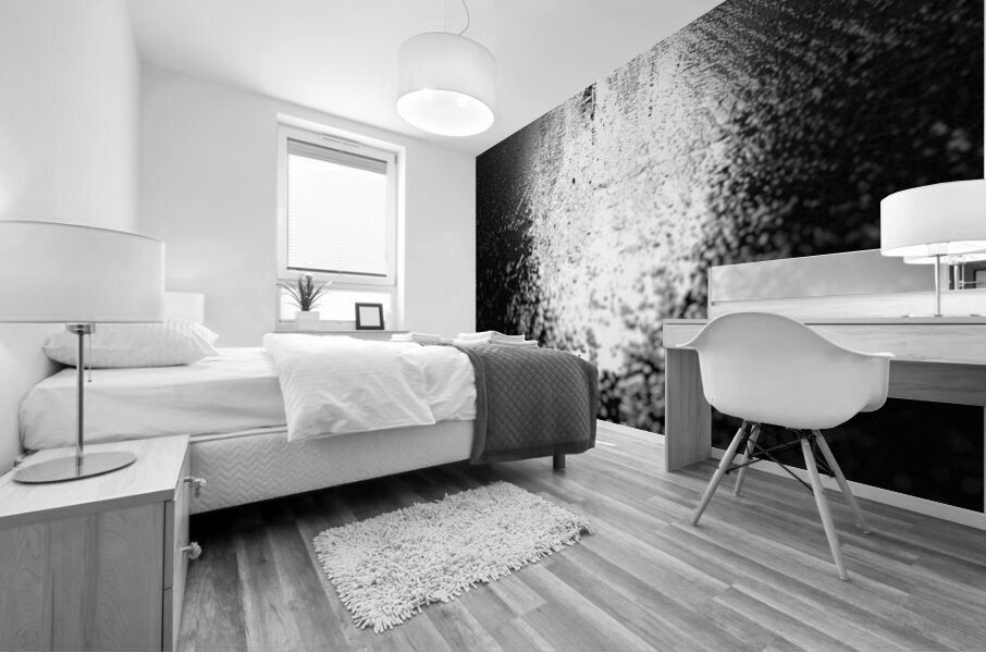 Everyday Lifes Moments- Dog Walking Two Mural print