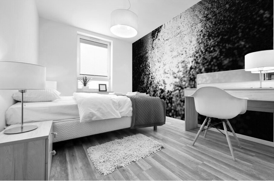 Everyday Lifes Moments- Dog Walking Mural print