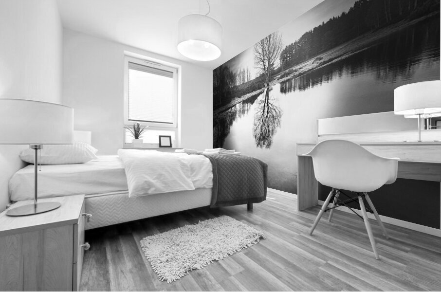 Scenes from the Trail-Winter Birch Tree Reflections in the Scottish Highlands  Mural print