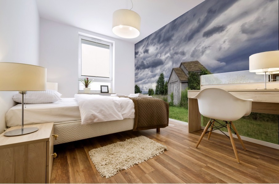 Sheds Mural print