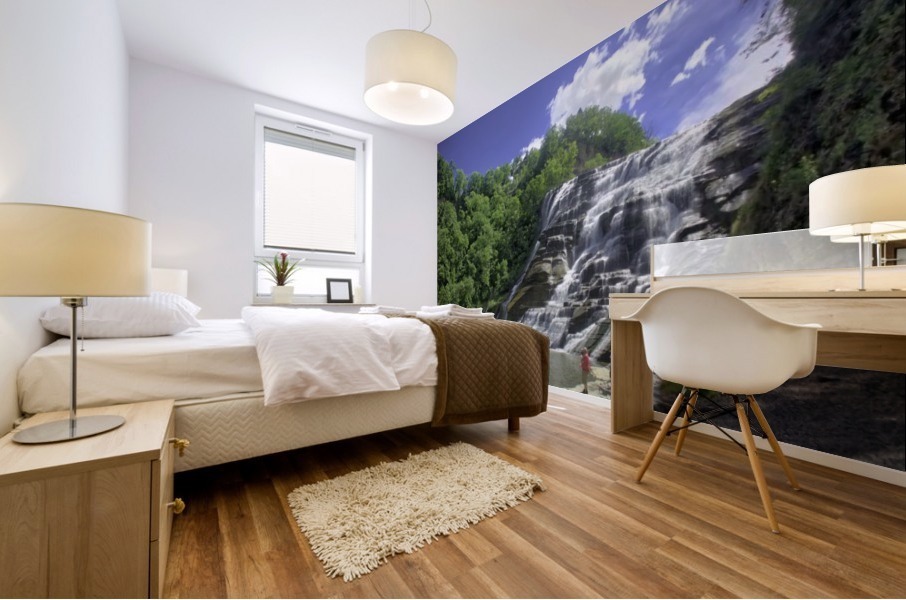 Ithaca Falls Mural print
