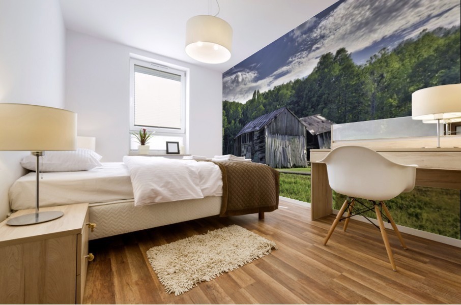 Vintage Barn Mural print