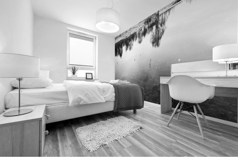 Winters Cold Reflections in the Scottish Highlands  Mural print