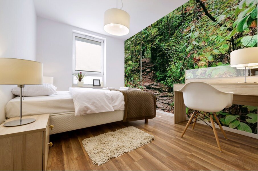 RockyTrail Mural print