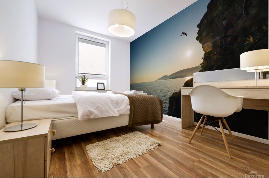 Lighthouse Park Cliff Jump Mural print