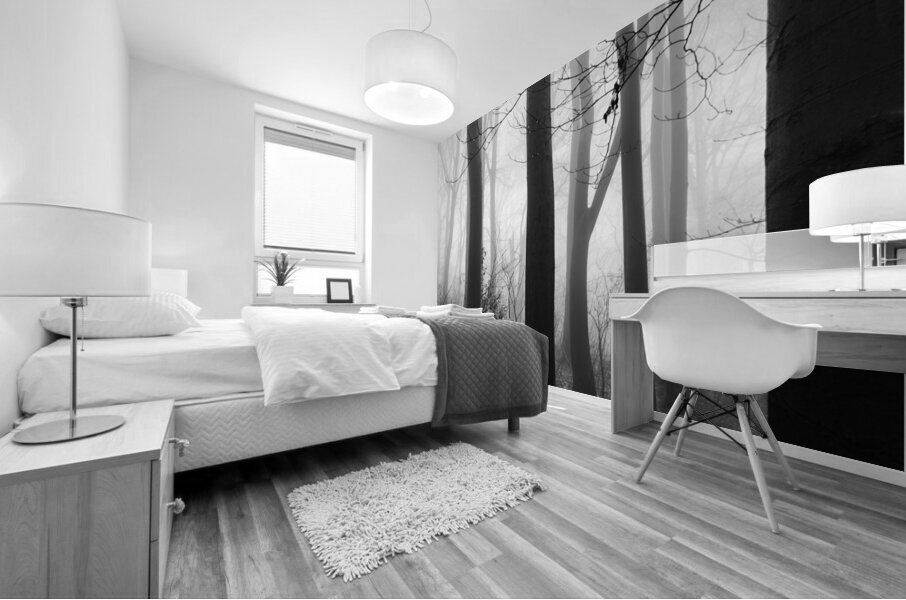 Black and white shot of trees in a forest on a foggy morning  Mural print