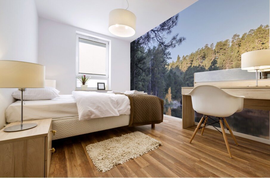 Morning Reflections Mural print