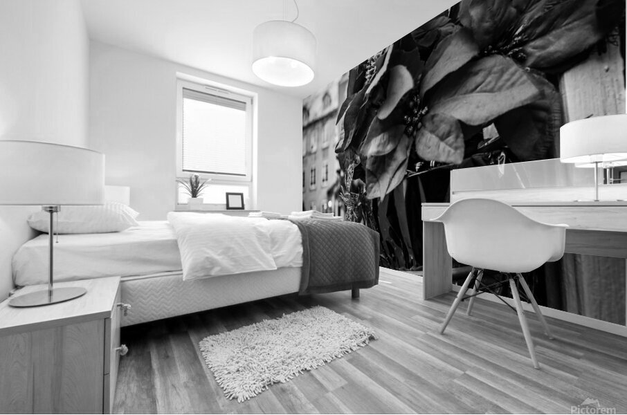 Black flower Mural print