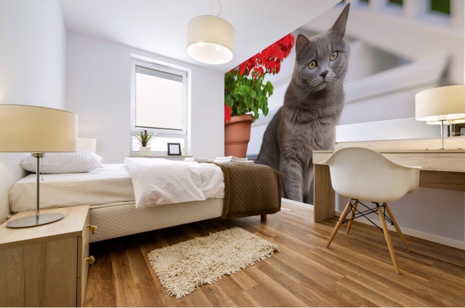 MOOSE WAITING FOR YOU Mural print