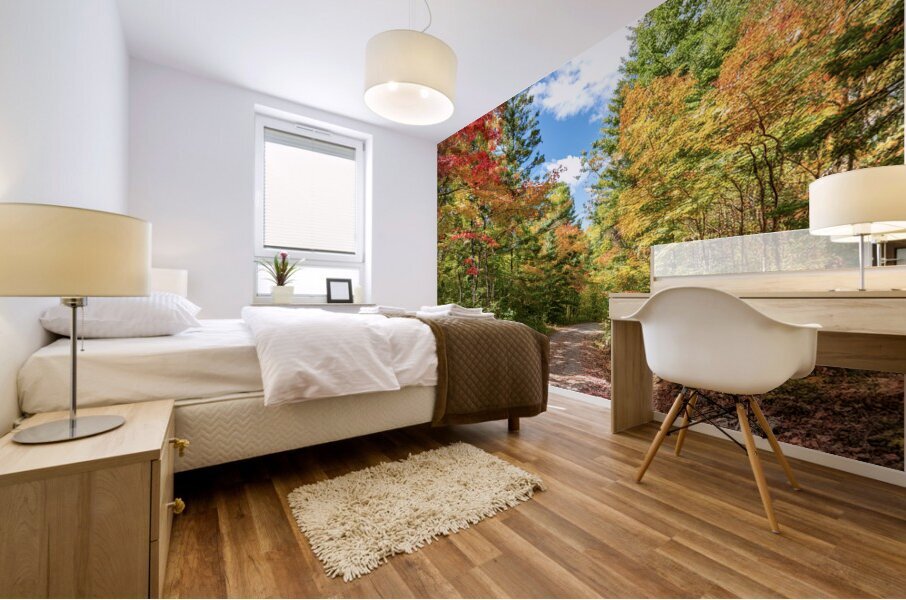 NORTHERN ONTARIO IN THE FALL Mural print