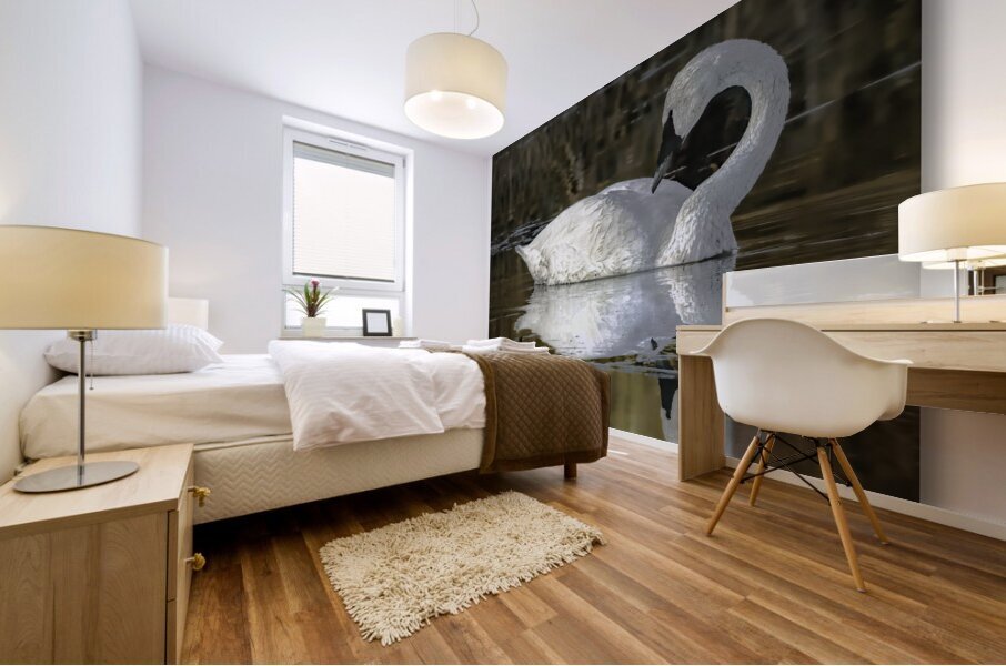 Swan Solitude Mural print