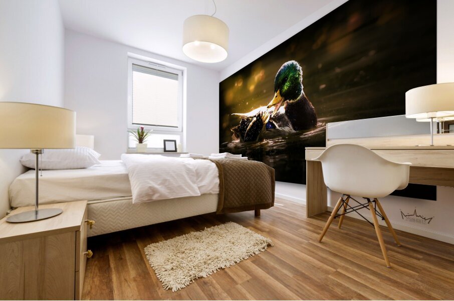 Young Duck Follies Mural print