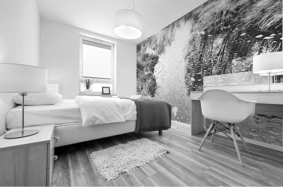 Scenes From the Trail- Calm Waters of the Scottish Highlands Mural print