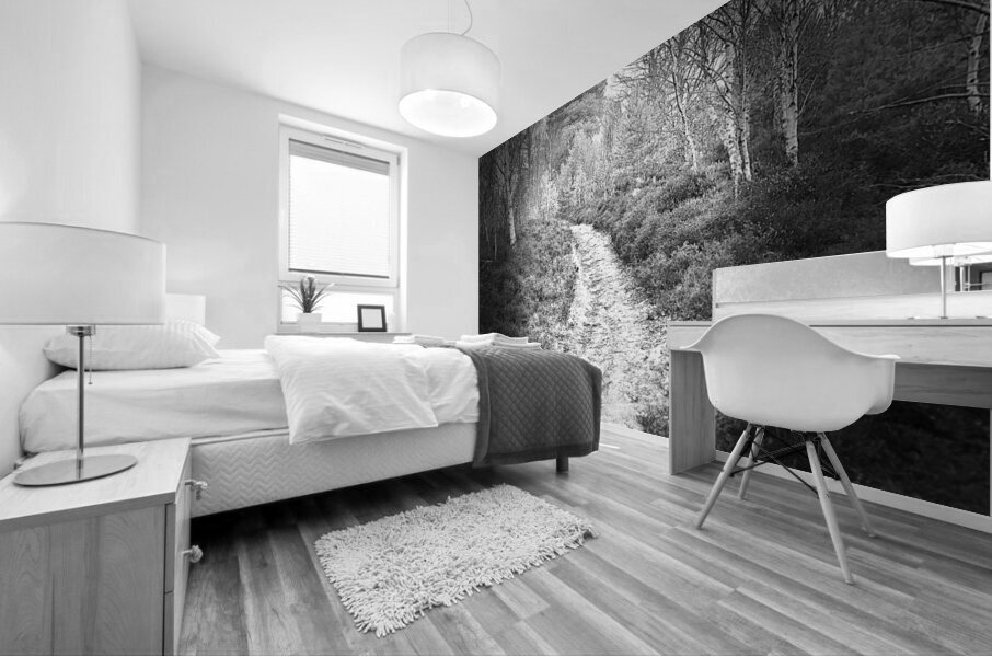 Scenes from the Trail- Forest Walk Through the Scottish Highlands Mural print