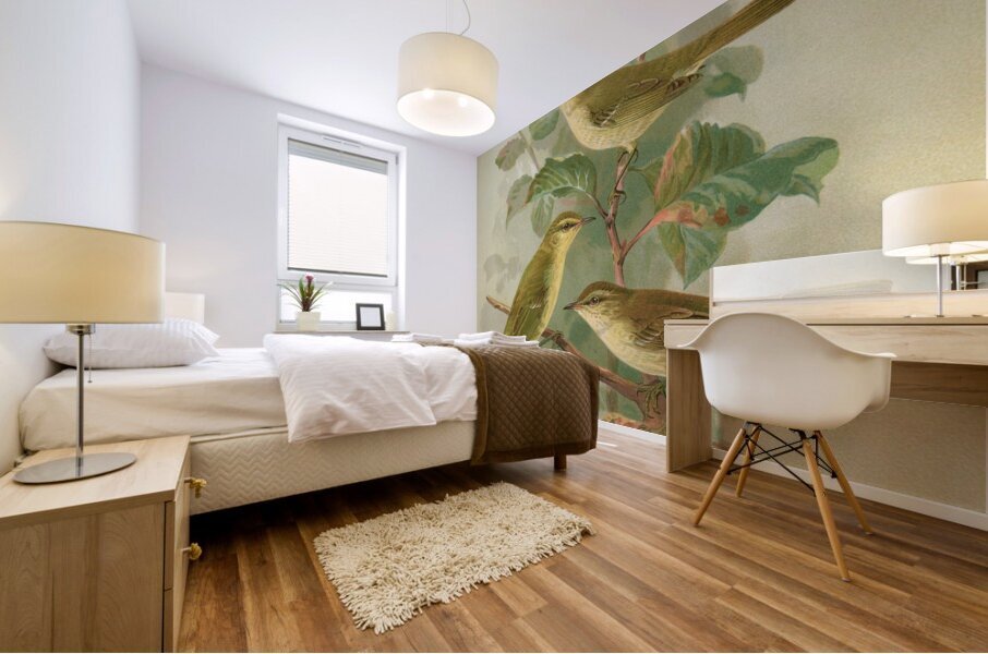 Phylloscopus viridanus. Nitidus. Borealis by Johann Friedrich Naumann [1780–1857] Mural print