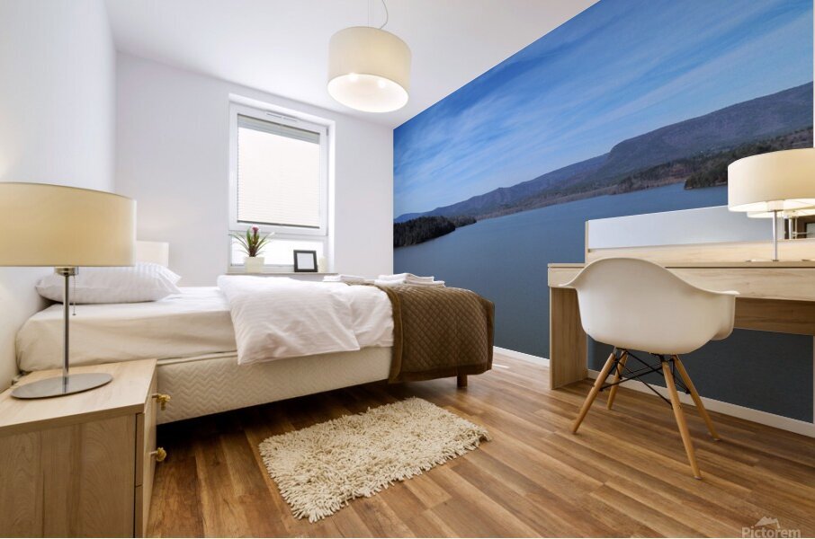 dji fly 20241225 124328 36 1735148648013 photo op Mural print